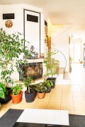 Продава МЕЗОНЕТ, град София, Център • 315000 € / 616086.45 лв. • 91418548 3