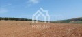 Продава ПАРЦЕЛ, Гърция, Халкидики • 65000 € / 127128.95 лв. • 33074544 8