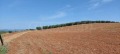 Продава ПАРЦЕЛ, Гърция, Халкидики • 65000 € / 127128.95 лв. • 33074544 5