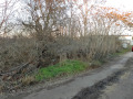 Продава  Парцел област Варна , с. Червенци , 2000 кв.м | 70300376 - изображение [8]