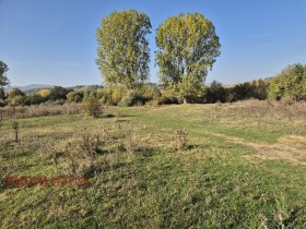 Trama Tsarkva, Pernik