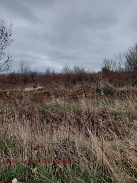 ����� ������� ������,���� �����, ����������