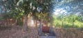 Продава КЪЩА, област Варна, с. Бенковски • 95000 € • 51438332 — Holmes.bg