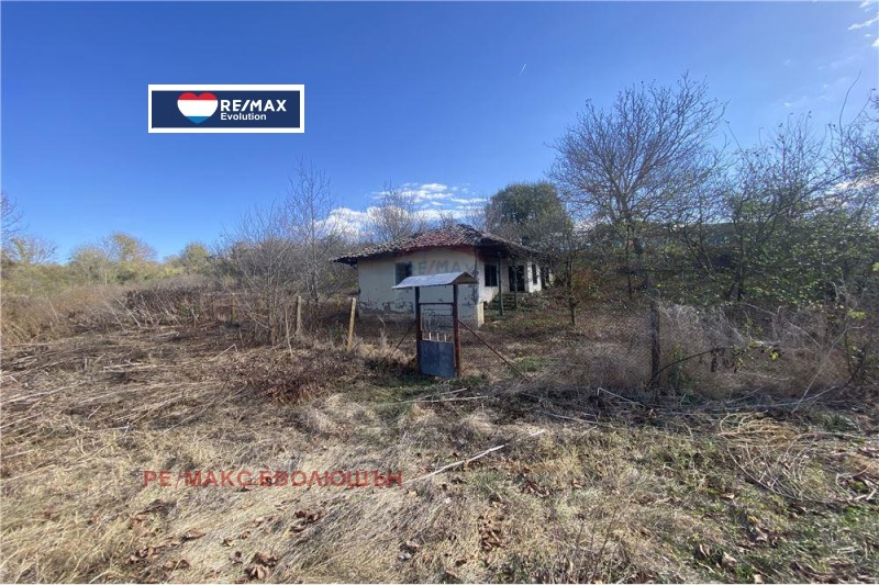 Продава КЪЩА в област Разград, с. Благоево - 150 кв.м / 10 225.84 € » 20 000 лв., РЕ/МАКС ЕВОЛЮШЪН