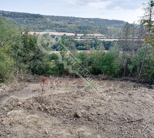 ������� ������ | Imot.bg � ����������� 4