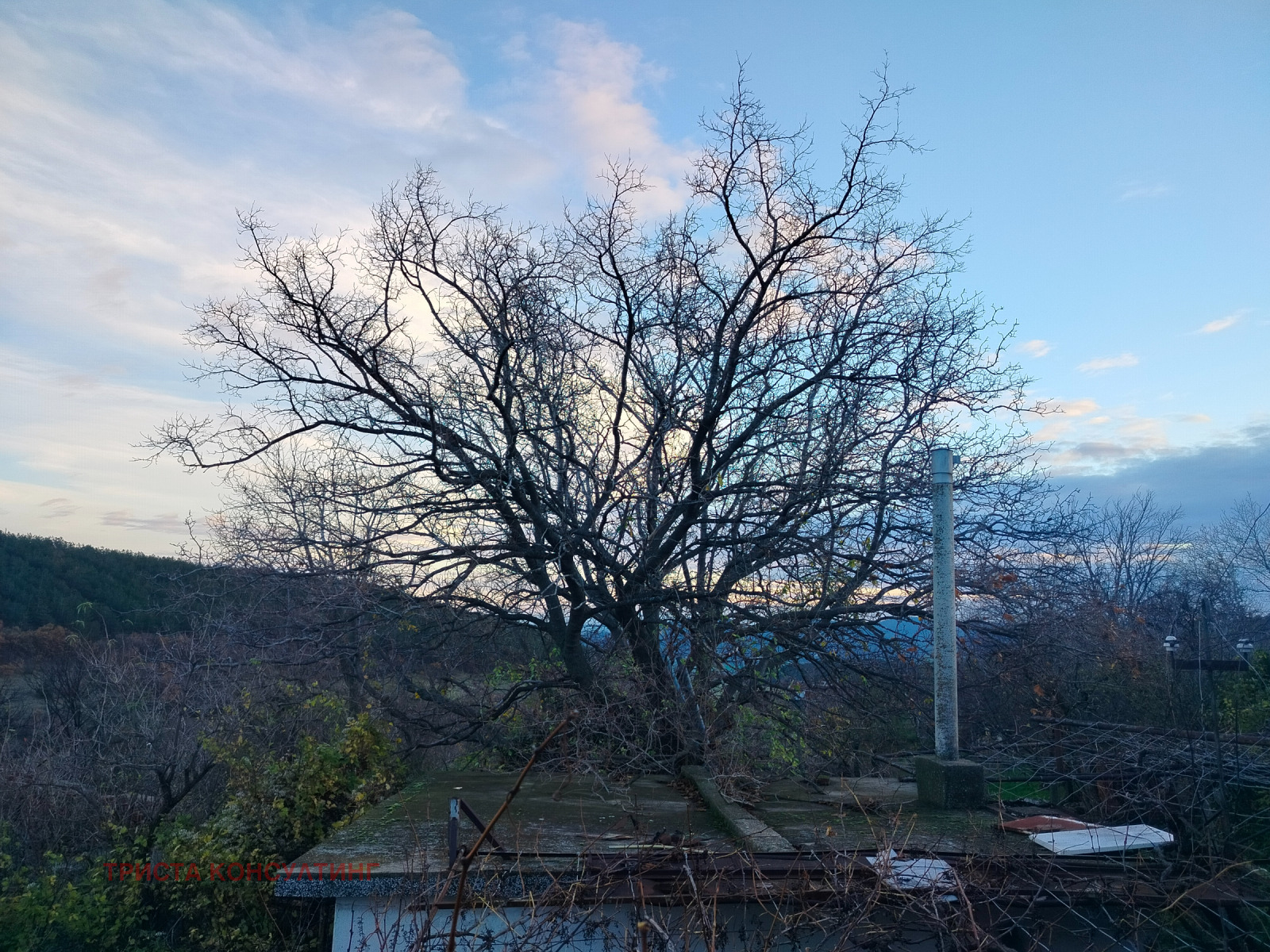 ������� ���� | Imot.bg � ����������� 3