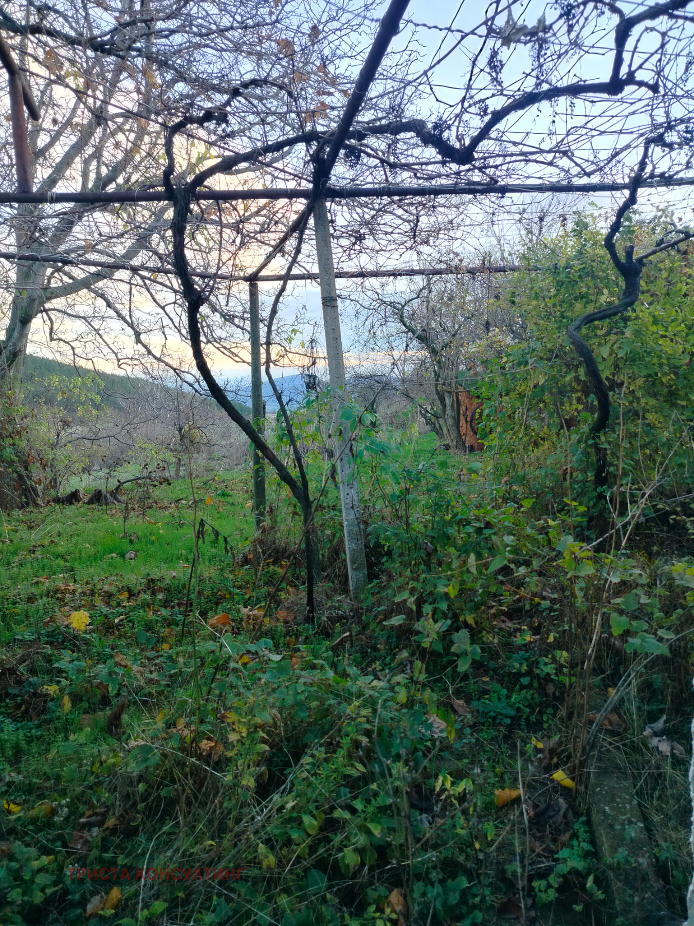 ������� ���� | Imot.bg � ����������� 4