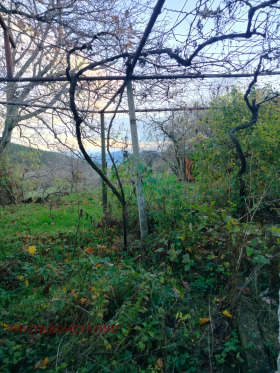 ������� ���� | Imot.bg � ����� ������ 4