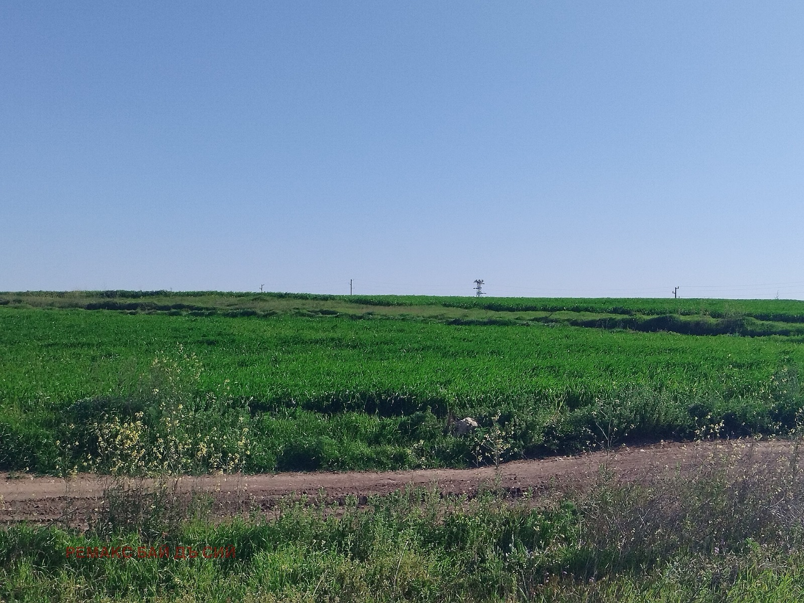 Продава ПАРЦЕЛ | Imot.bg — изображение 4