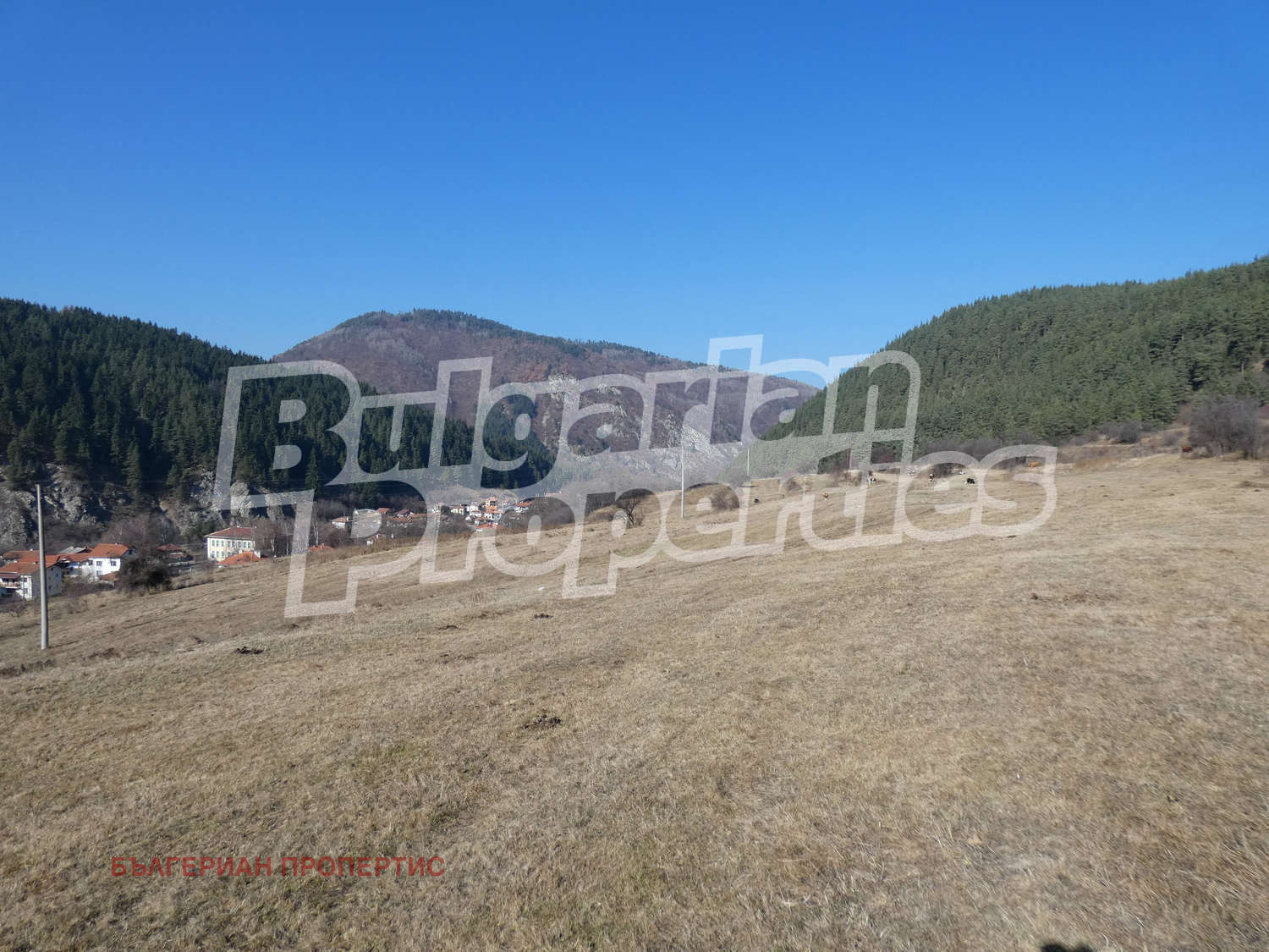 Продава ЗЕМЕДЕЛСКА ЗЕМЯ | Imot.bg — изображение 2