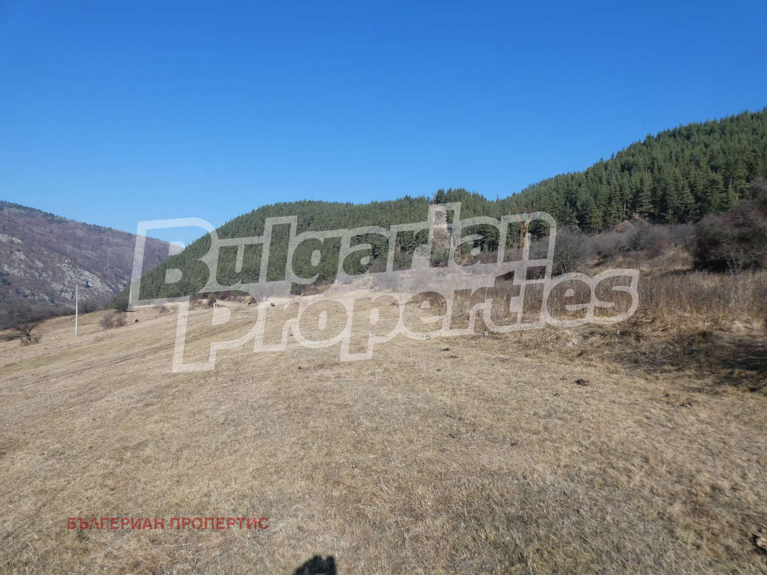 Продава ЗЕМЕДЕЛСКА ЗЕМЯ | Imot.bg — изображение 11