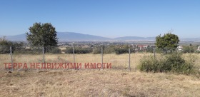 ������ ������� ����