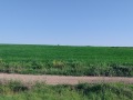 Продава ПАРЦЕЛ, град Варна, м-т Добрева чешма • 179640 € • 37581220 — Holmes.bg