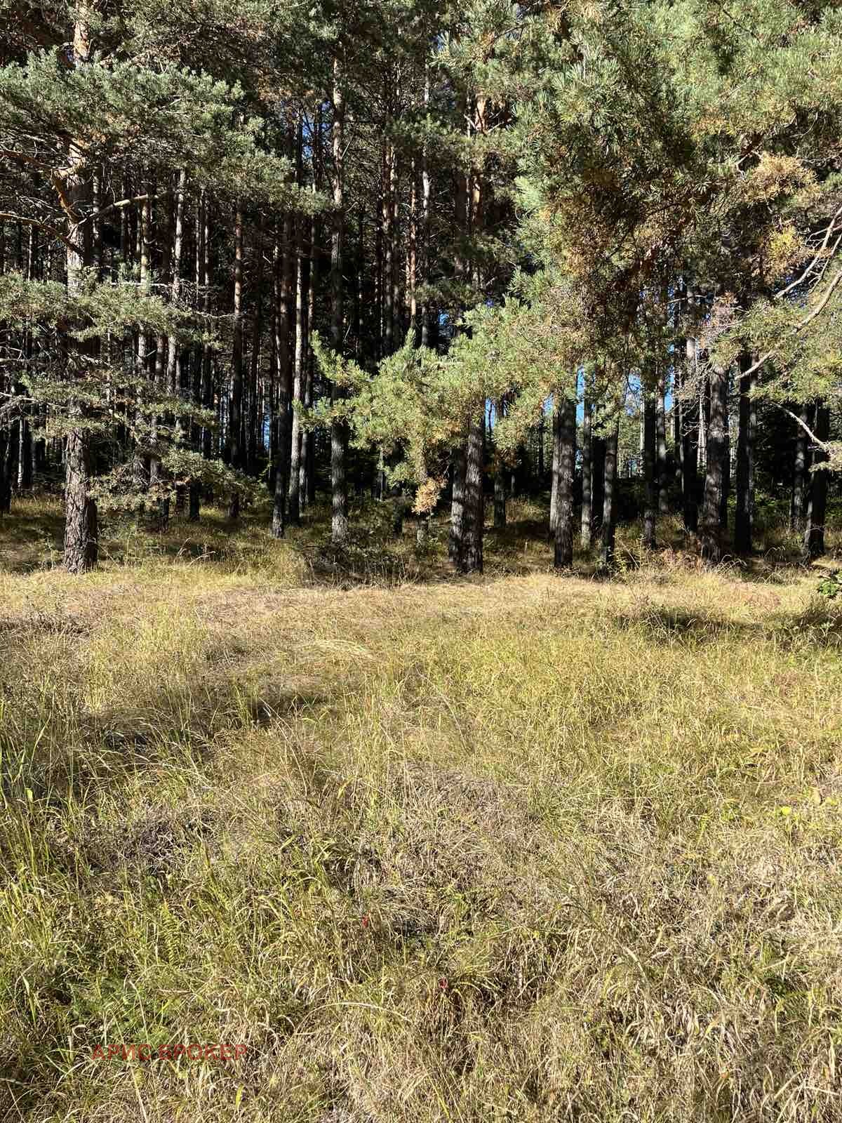 Продава ЗЕМЕДЕЛСКА ЗЕМЯ | Imot.bg — изображение 6