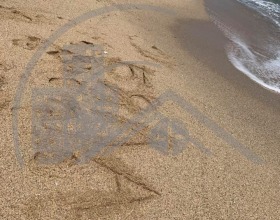 ������� 3-����� | Imot.bg � ����� ������ 15