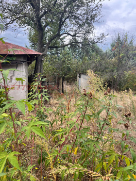 ������� ���� | Imot.bg � ����� ������ 15