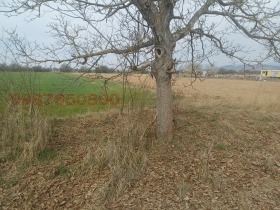 ������� ������ | Imot.bg � ����� ������ 5