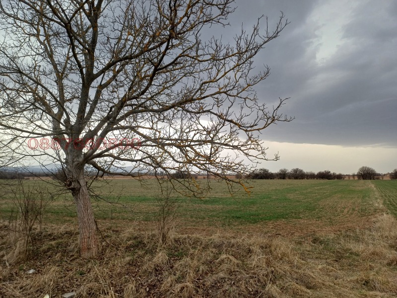 Продава ПАРЦЕЛ, с. Караполци, област София област, снимка 2 - Парцели - 52781619