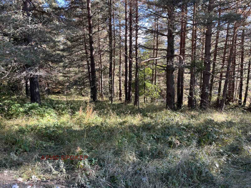 Προς πώληση  Γη περιοχή Παζαρτζίκ , Βατακ , 1.385 dka | 30606174 - εικόνα [5]
