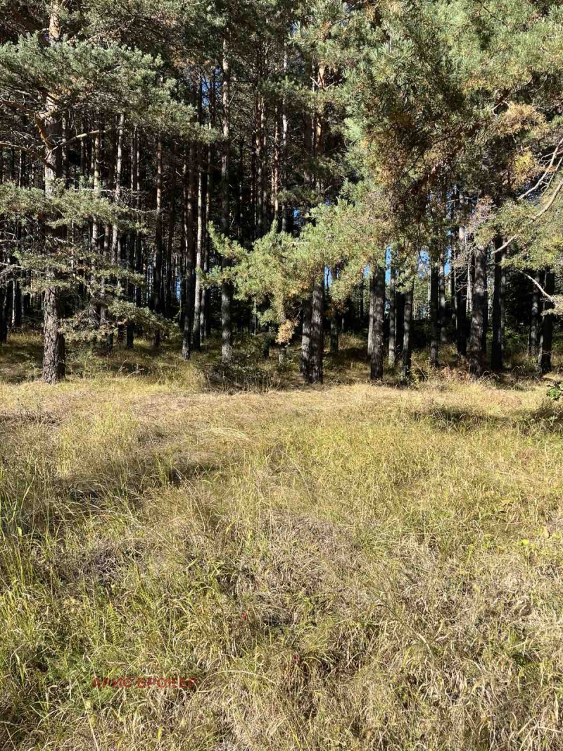 Προς πώληση  Γη περιοχή Παζαρτζίκ , Βατακ , 1.385 dka | 30606174 - εικόνα [6]