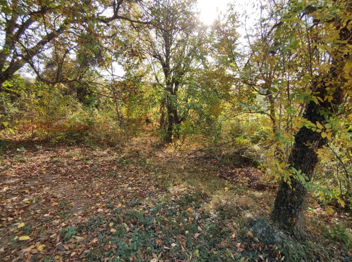 Продава КЪЩА, с. Малък извор, област Ловеч, снимка 11 - Къщи - 53815392