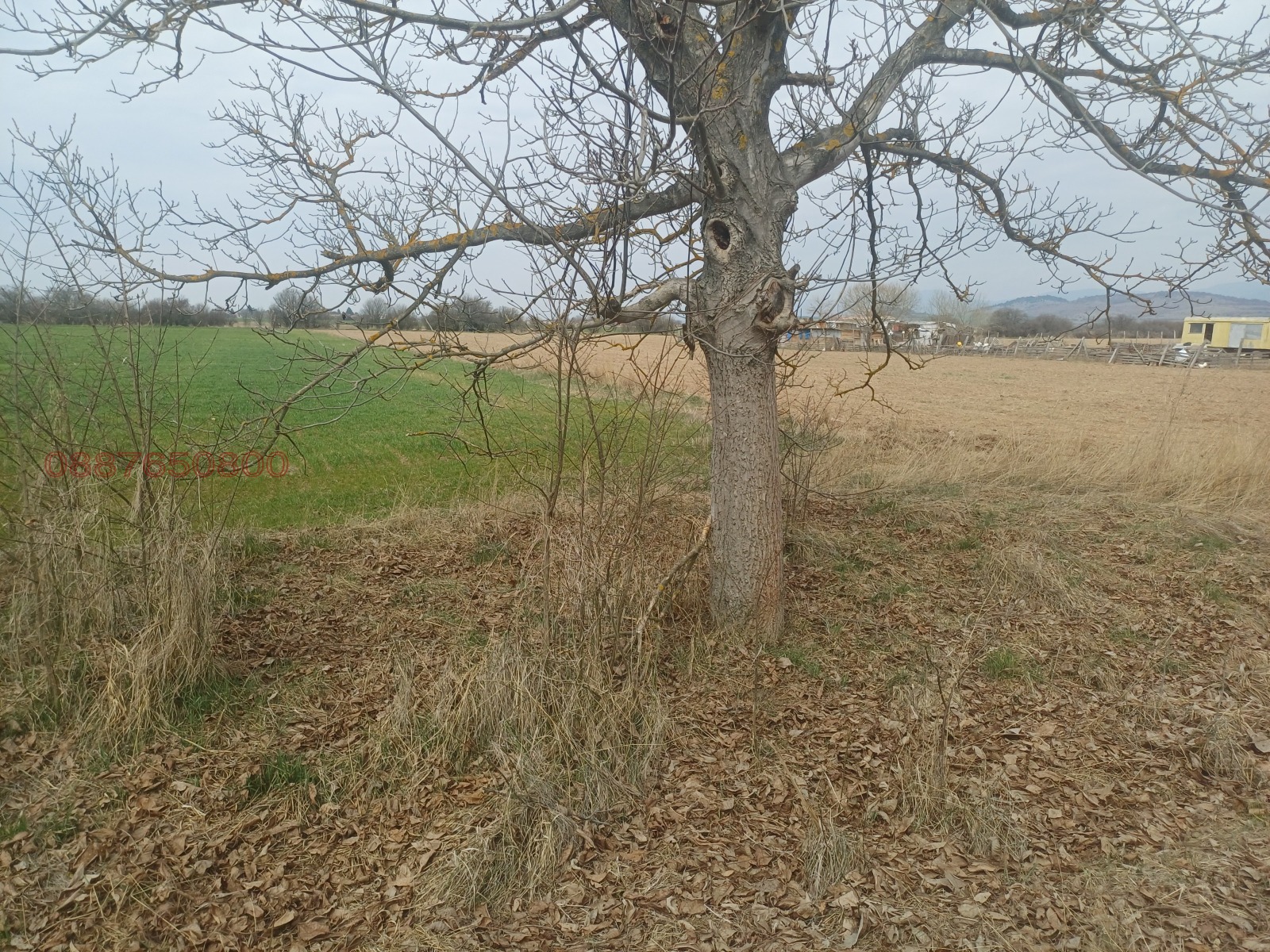 Продава ПАРЦЕЛ, с. Караполци, област София област, снимка 5 - Парцели - 53944535