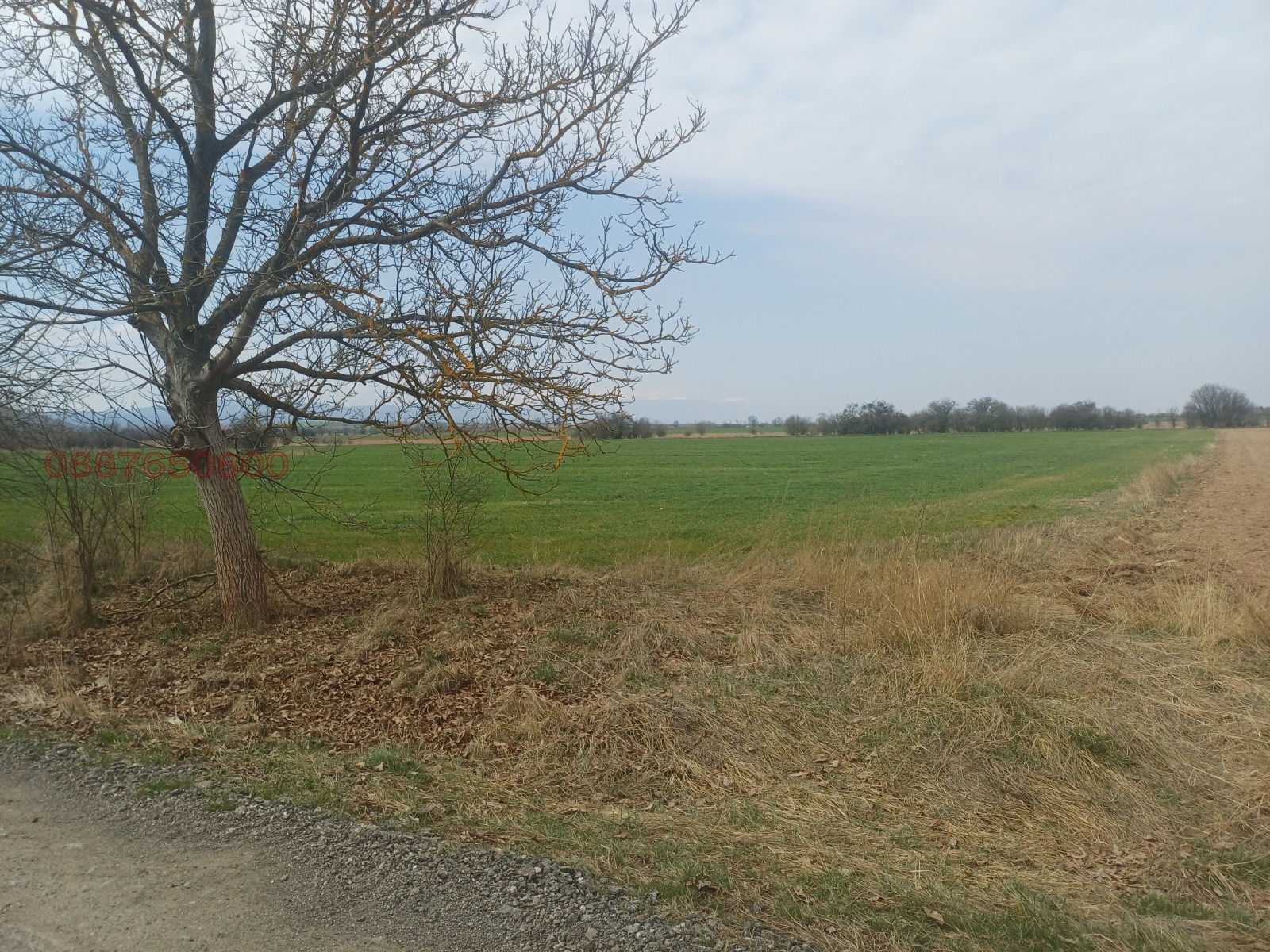 Продава ПАРЦЕЛ, с. Караполци, област София област, снимка 4 - Парцели - 53944535