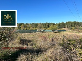 Парцел град София, с. Панчарево 7