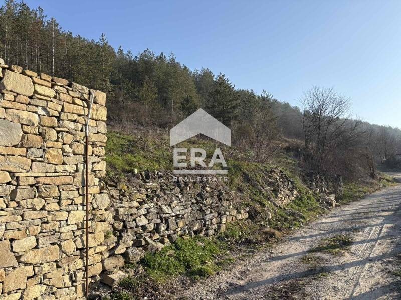 Продава ПАРЦЕЛ, гр. Дебелец, област Велико Търново, снимка 3 - Парцели - 53858018