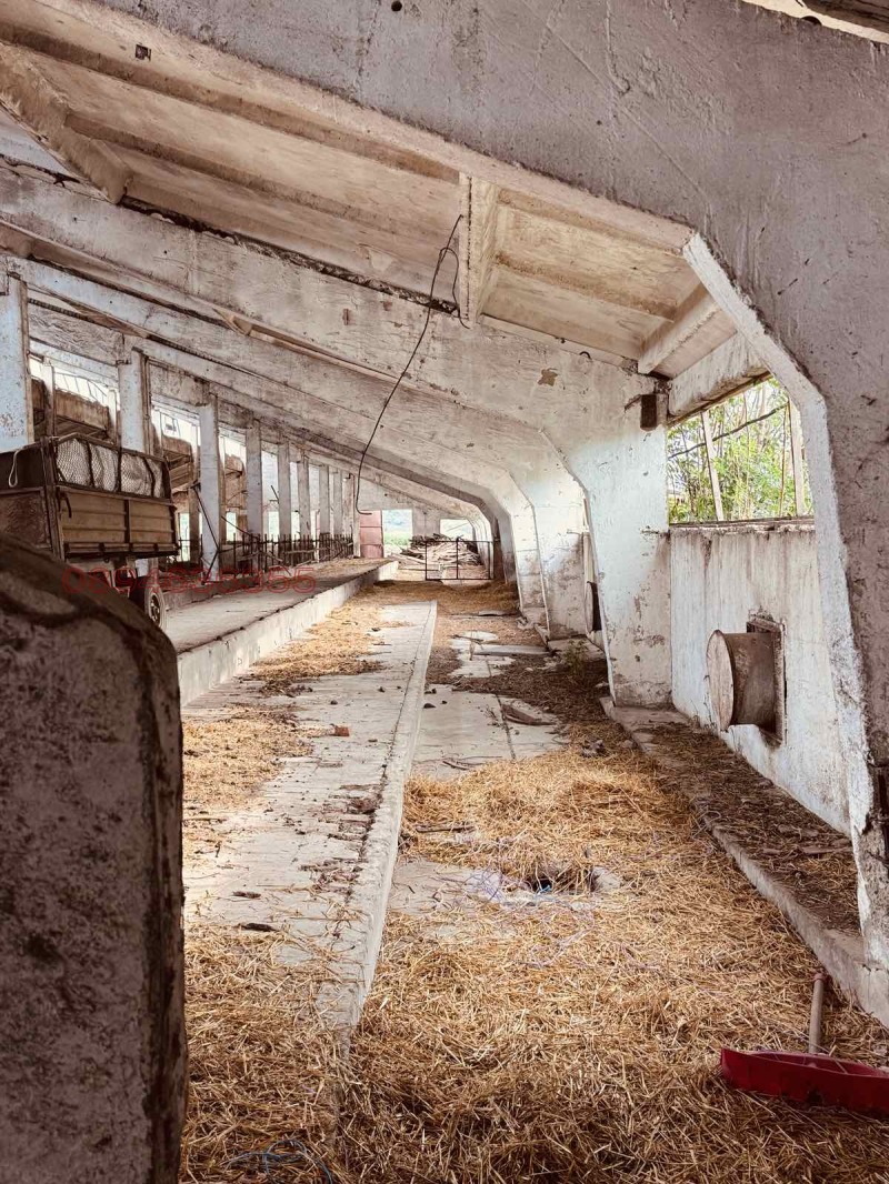 Продава ЗЕМЕДЕЛСКА ЗЕМЯ, гр. Вълчедръм, област Монтана, снимка 6 - Земеделска земя - 52785388