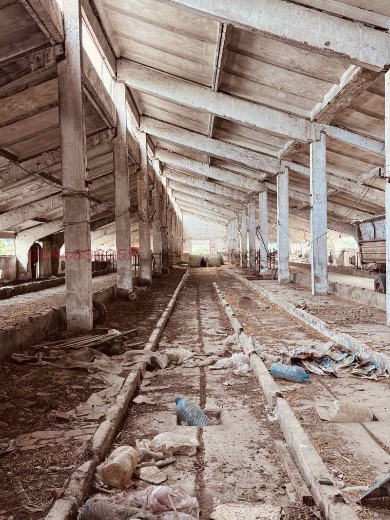 Продава ЗЕМЕДЕЛСКА ЗЕМЯ, гр. Вълчедръм, област Монтана, снимка 7 - Земеделска земя - 52785388