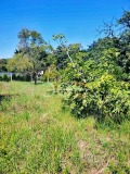 Продава КЪЩА, гр. Варна, м-т Боровец - север, снимка 7