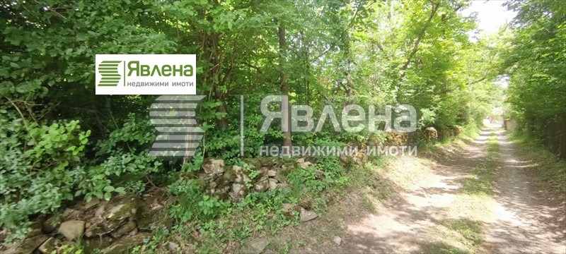 Продава ПАРЦЕЛ, с. Орешак, област Ловеч, снимка 4 - Парцели - 49364707