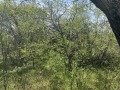 Продава КЪЩА, област Варна, с. Караманите • 23000 € • 96393043 — Holmes.bg