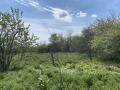 Продава КЪЩА, област Варна, с. Караманите • 23000 € • 96393043 — Holmes.bg