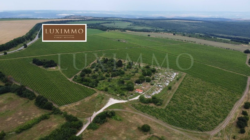 Na prodej  Spiknutí oblast Varna , Avren , 345000 m2 | 68770412 - obraz [4]