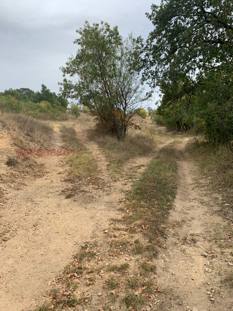 Продава ПАРЦЕЛ, с. Пчелин, област София област, снимка 6 - Парцели - 53401739