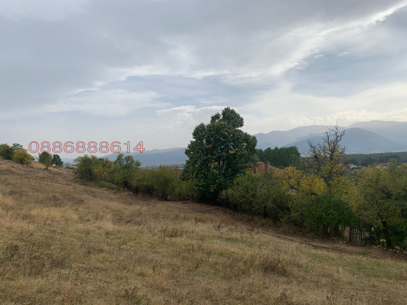 Продава ПАРЦЕЛ, с. Пчелин, област София област, снимка 4 - Парцели - 53401739