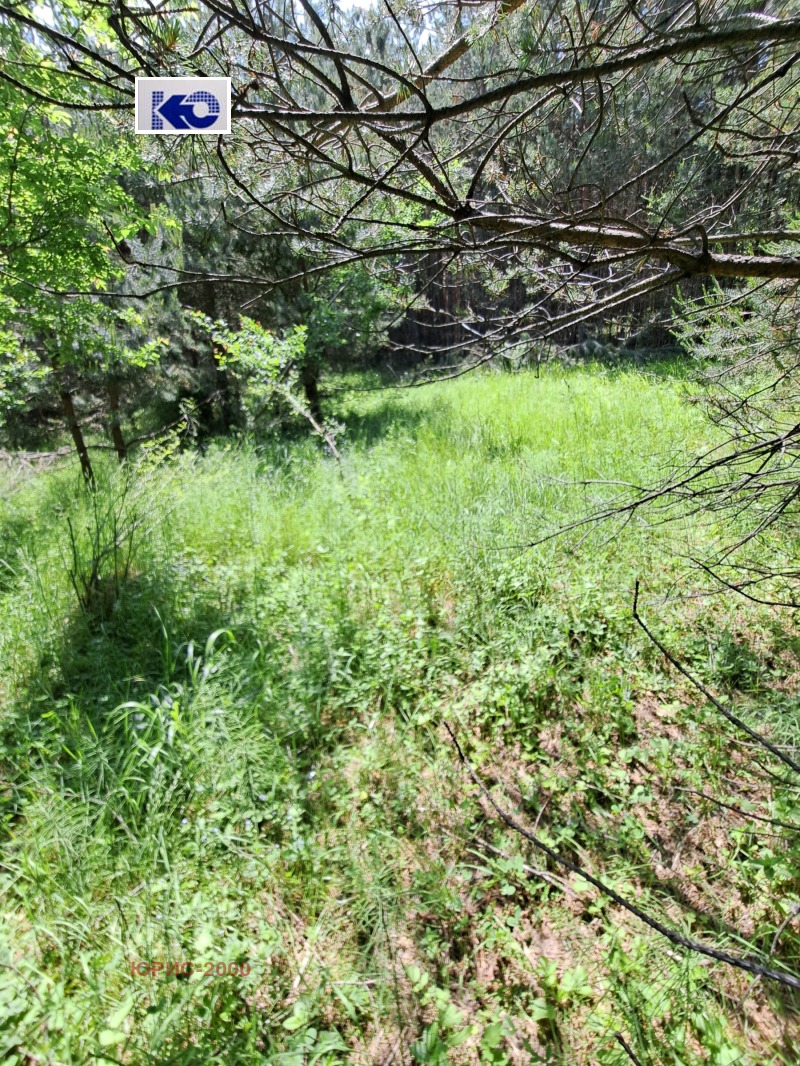 Προς πώληση  Γη περιοχή Plovdiv , Βοικοβο , 2.018 dka | 36714728 - εικόνα [3]