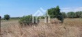 Продава ПАРЦЕЛ, Гърция, Халкидики • 100000 € / 195583.00 лв. • 76979562 11