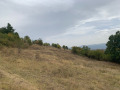 Продава ПАРЦЕЛ, с. Пчелин, област София област, снимка 5