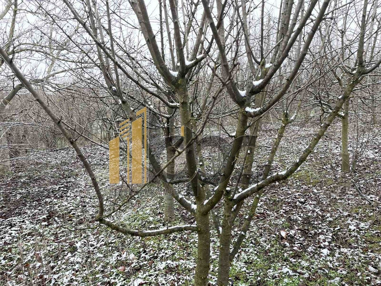 ������� ���� | Imot.bg � ����������� 9