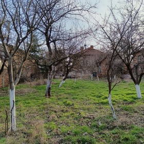 ����� ������� ����,��. ����������, ������ �����