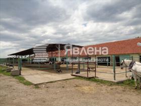 Продажба на имоти в с. Дражево, област Ямбол - изображение 1 