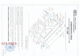 ����� ������� ������,���� �����, ������