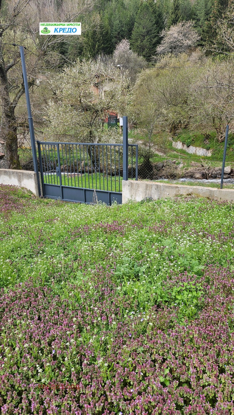 Προς πώληση  Οικόπεδο περιοχή Πέρνικ , ΤΣυιπετλοβο , 660 τ.μ | 46152899 - εικόνα [7]