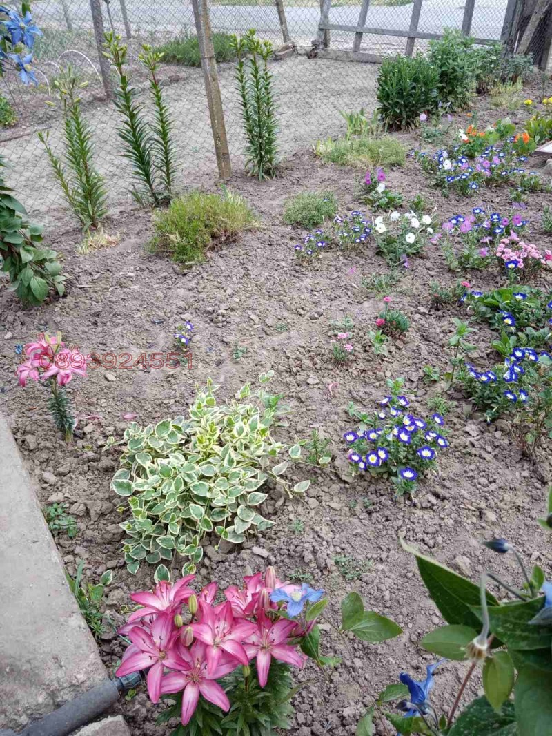 Na sprzedaż  Dom rejon Dobricz , Smolnica , 90 mkw | 82989098 - obraz [5]