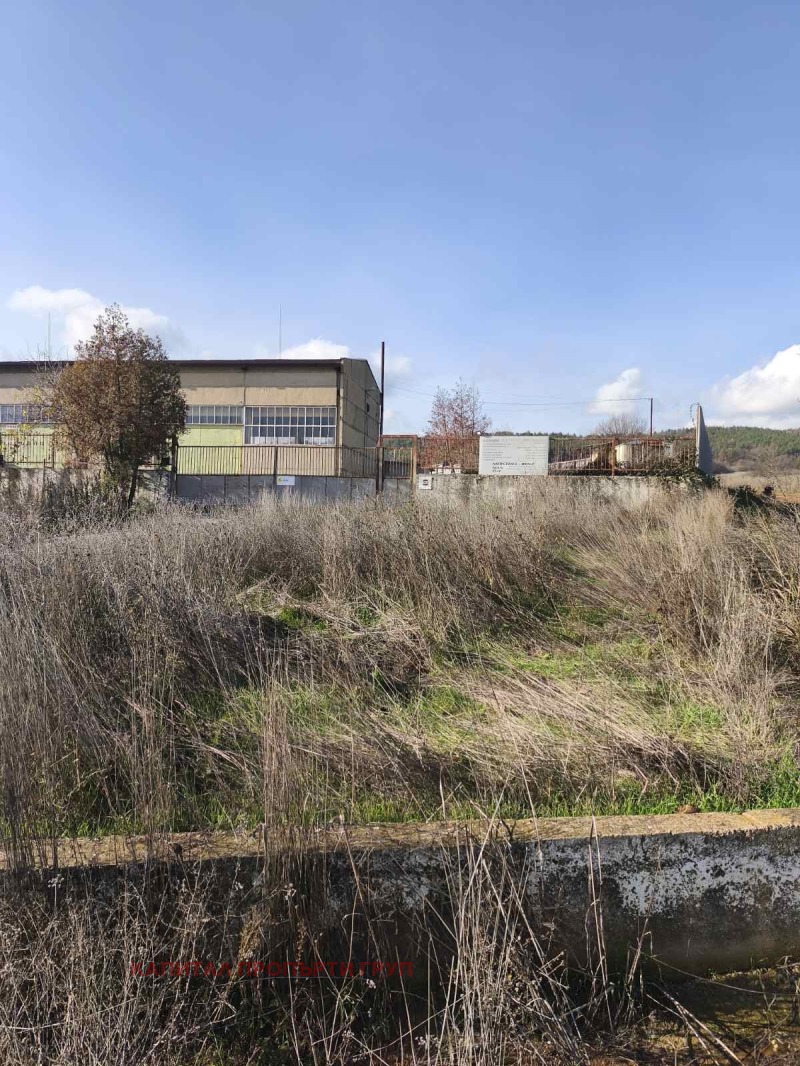 Продава ПАРЦЕЛ, с. Пряпорец, област Стара Загора, снимка 4 - Парцели - 52655390