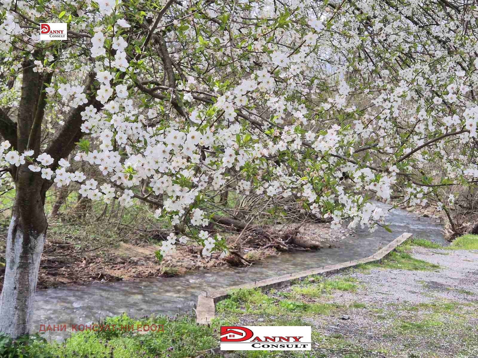 Продава КЪЩА, гр. Трявна, област Габрово, снимка 2 - Къщи - 53898043