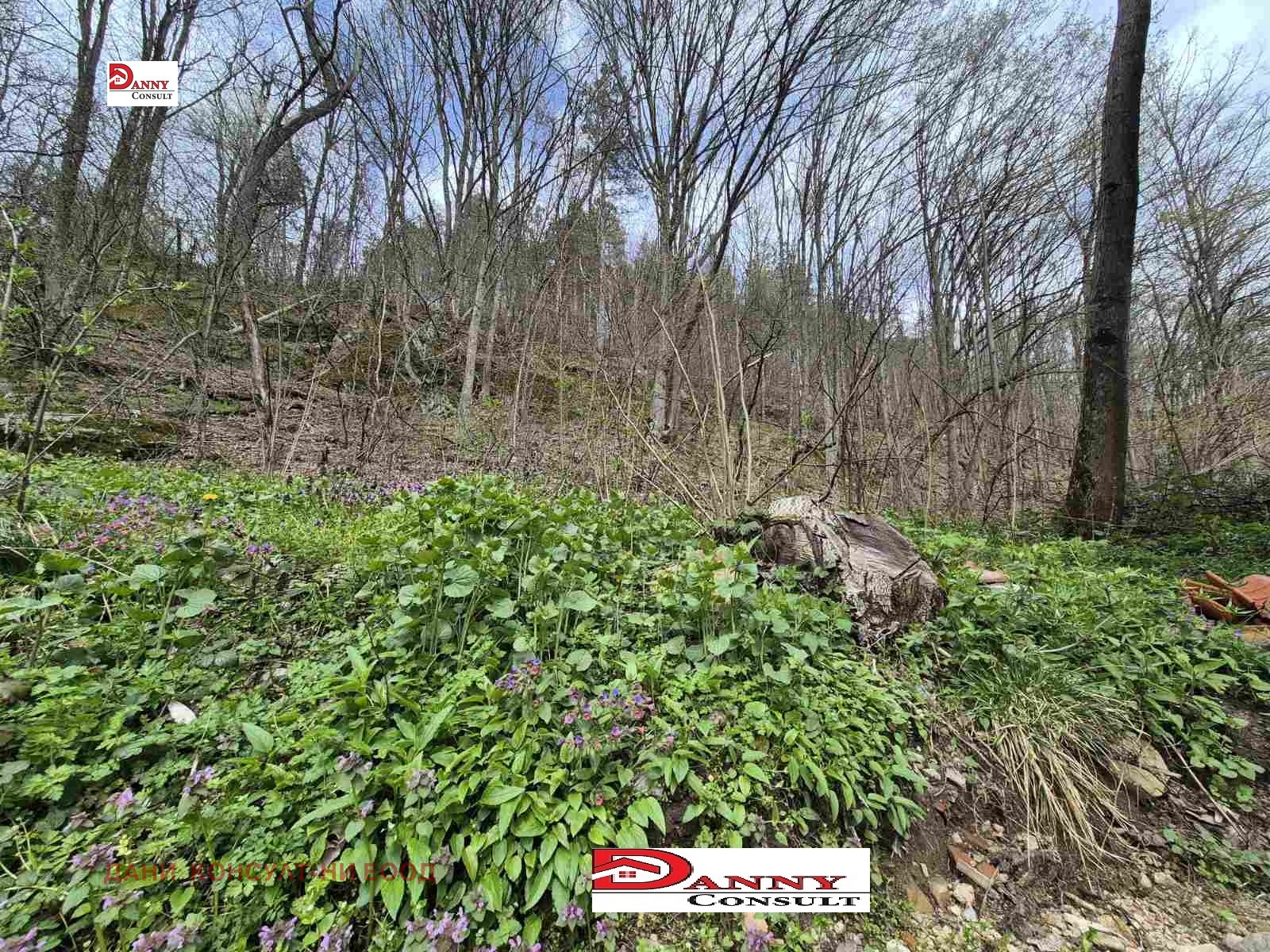 Продава КЪЩА, гр. Трявна, област Габрово, снимка 4 - Къщи - 53898043